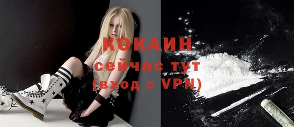 трава Белокуриха
