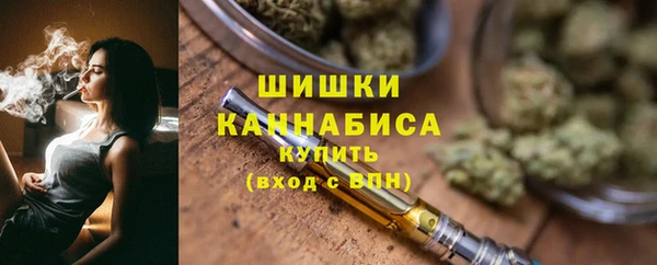 трава Белокуриха