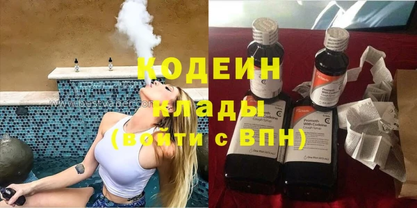 трава Белокуриха