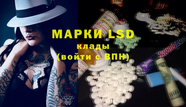 трава Белокуриха