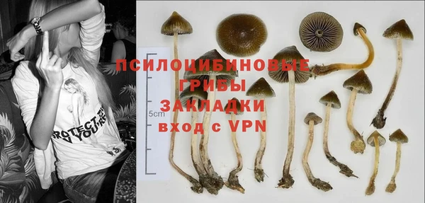 стафф Беломорск