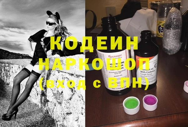 трава Белокуриха