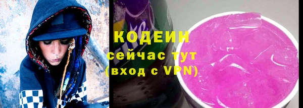 трава Белокуриха